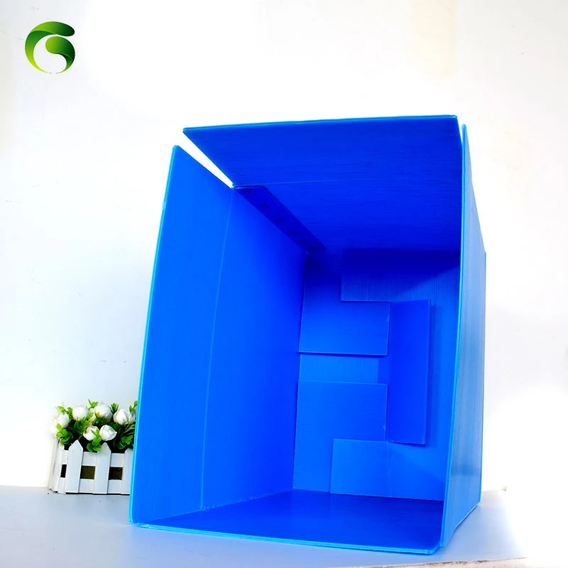Cymharu PP Bwrdd Pant blwch a carton